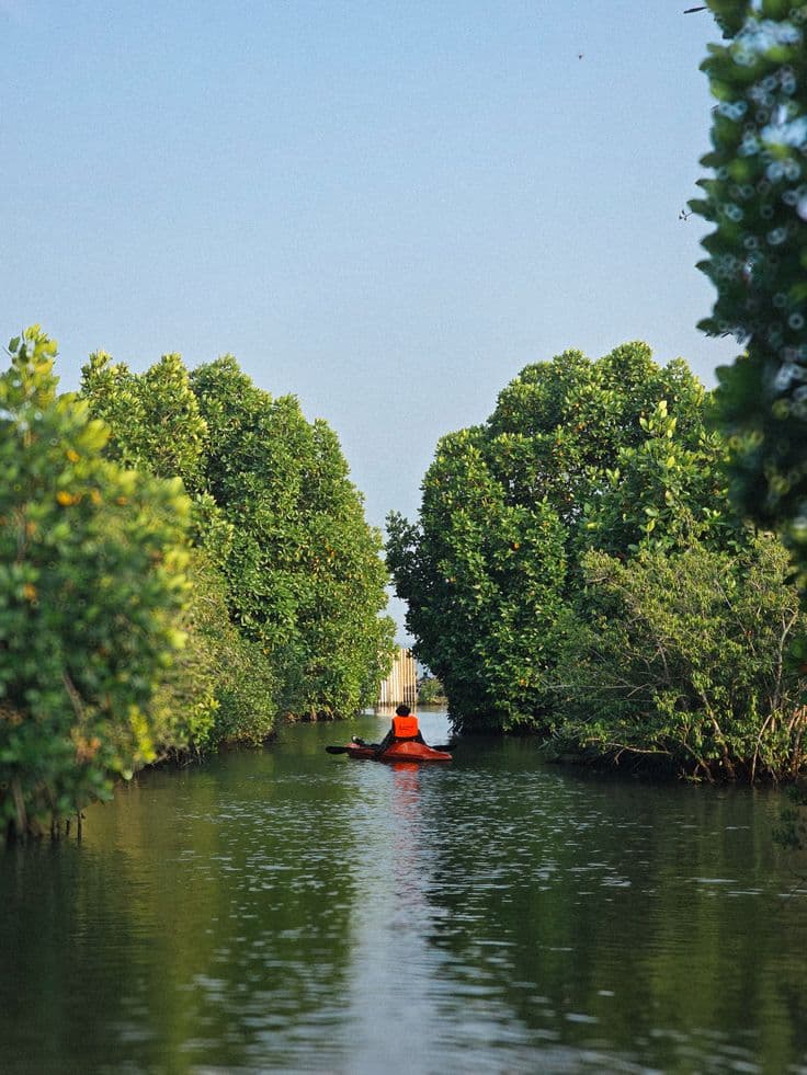 Kayaking in Munroe Island backwaters